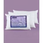 Pack of 2 Duck Feather and Down Pillows